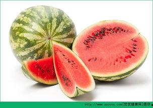 孕期吃紫瓜好吗,孕期适量食用紫瓜有益健康