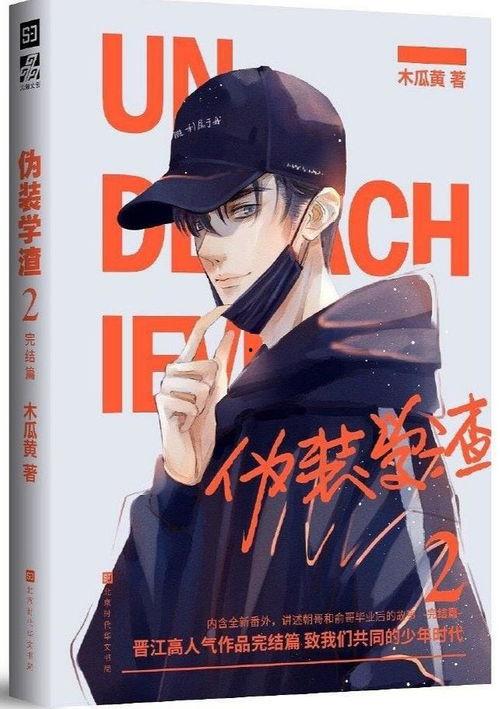 吃瓜受bl小说,一场BL小说的甜蜜盛宴