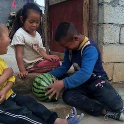 网课兄妹吃瓜,揭秘虚拟课堂中的甜蜜与争议