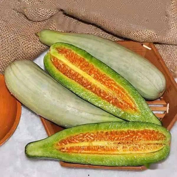 ptcg吃瓜郝,揭秘卡牌游戏圈的趣味故事