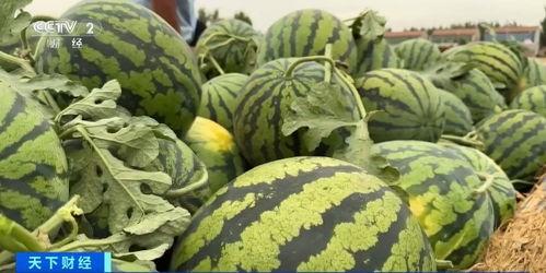 刨胸验肺吃瓜,一场吃瓜群众的维权奇遇