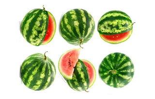 吃瓜的农夫,揭秘乡村生活趣味瞬间