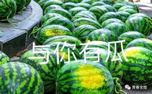 大学吃瓜网,揭秘校园热点事件，带你领略校园生活百态